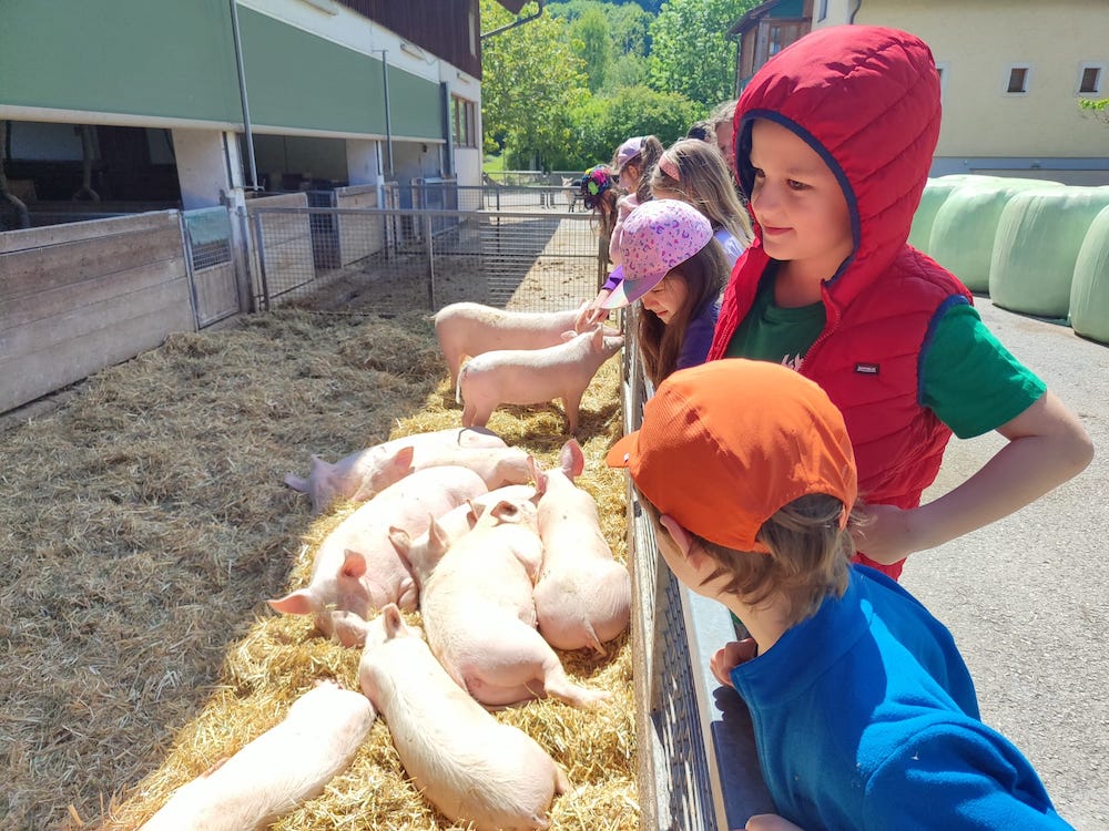 PHOTO 2025 05 20 14 22 07 2