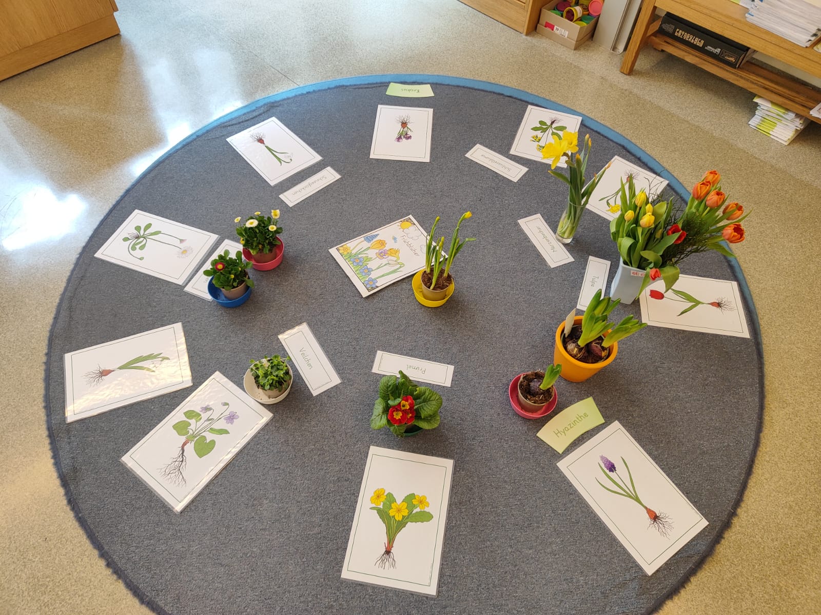 WhatsApp Image 2025 03 23 at 14.10.32 2